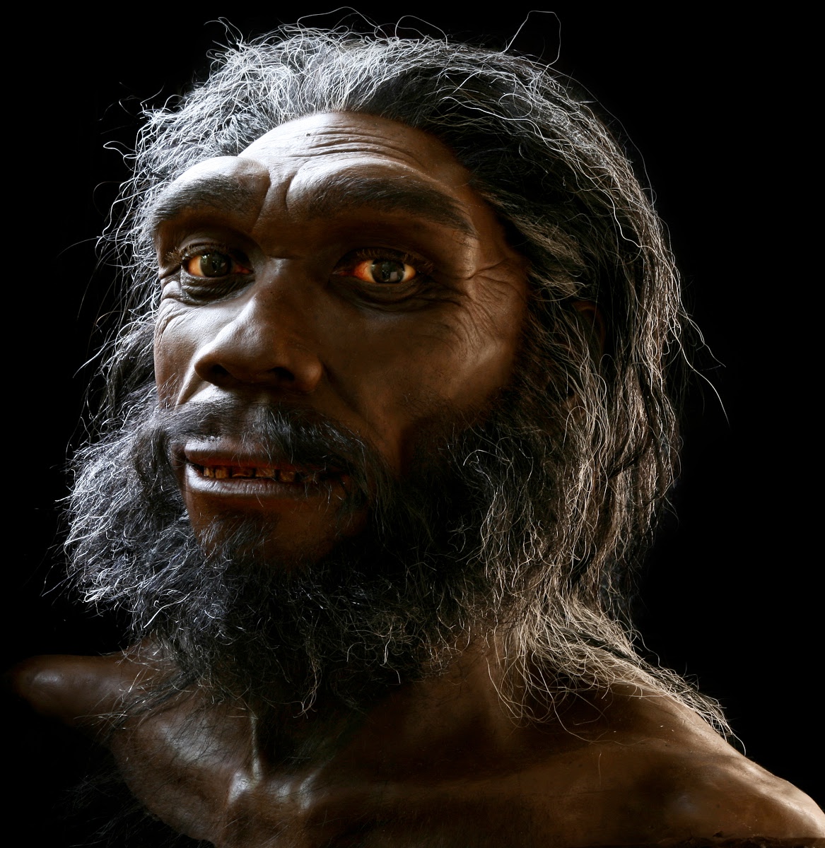 William Lane Craig…and Homo Heidelbergensis Adam? (Part 4: The ...